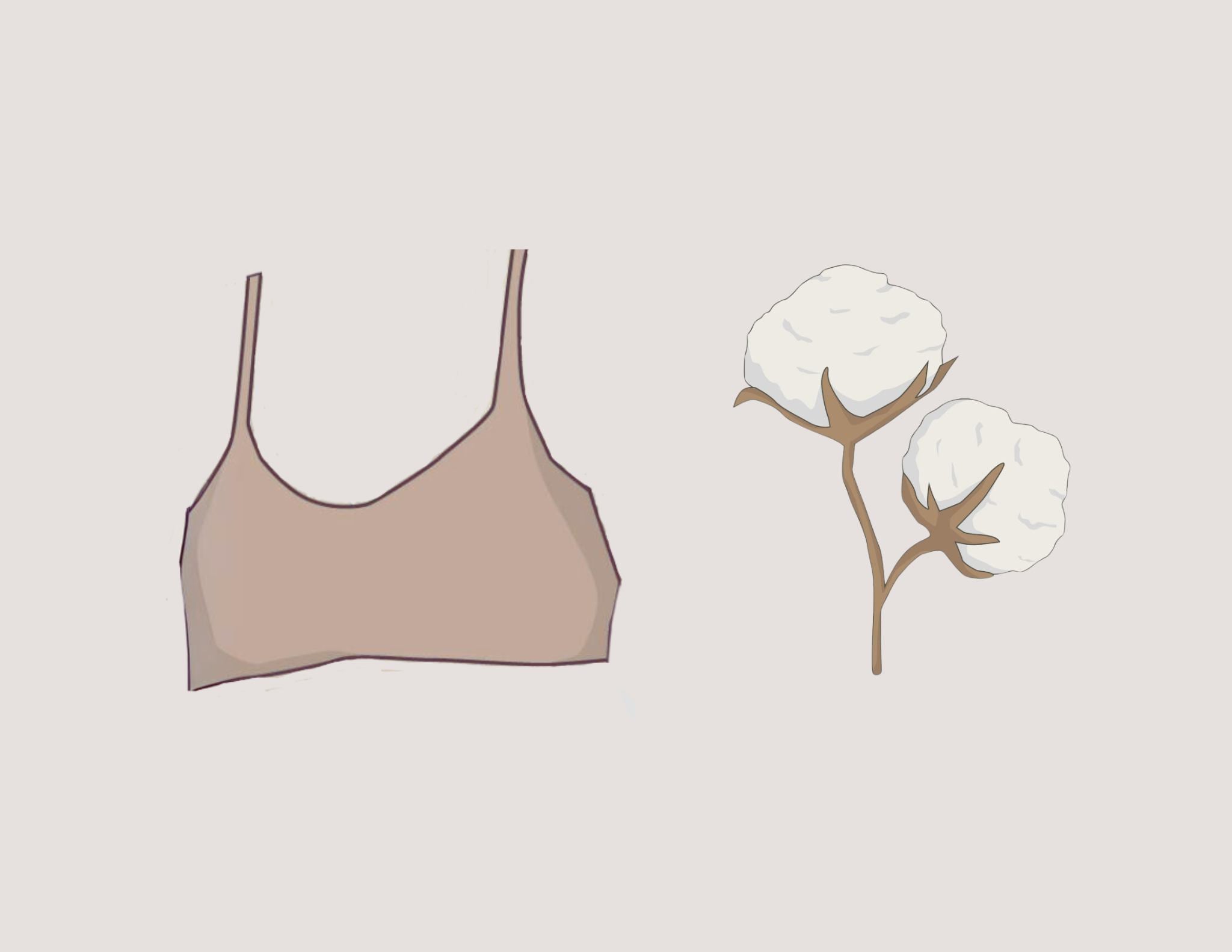 100 organic cotton bralette