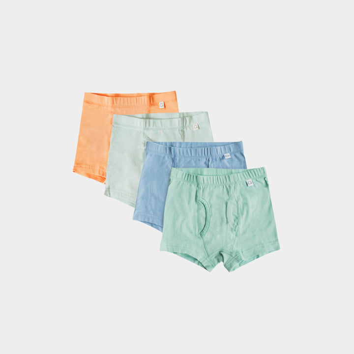 Super Bundle Luca Boxer Briefs (4-pack)