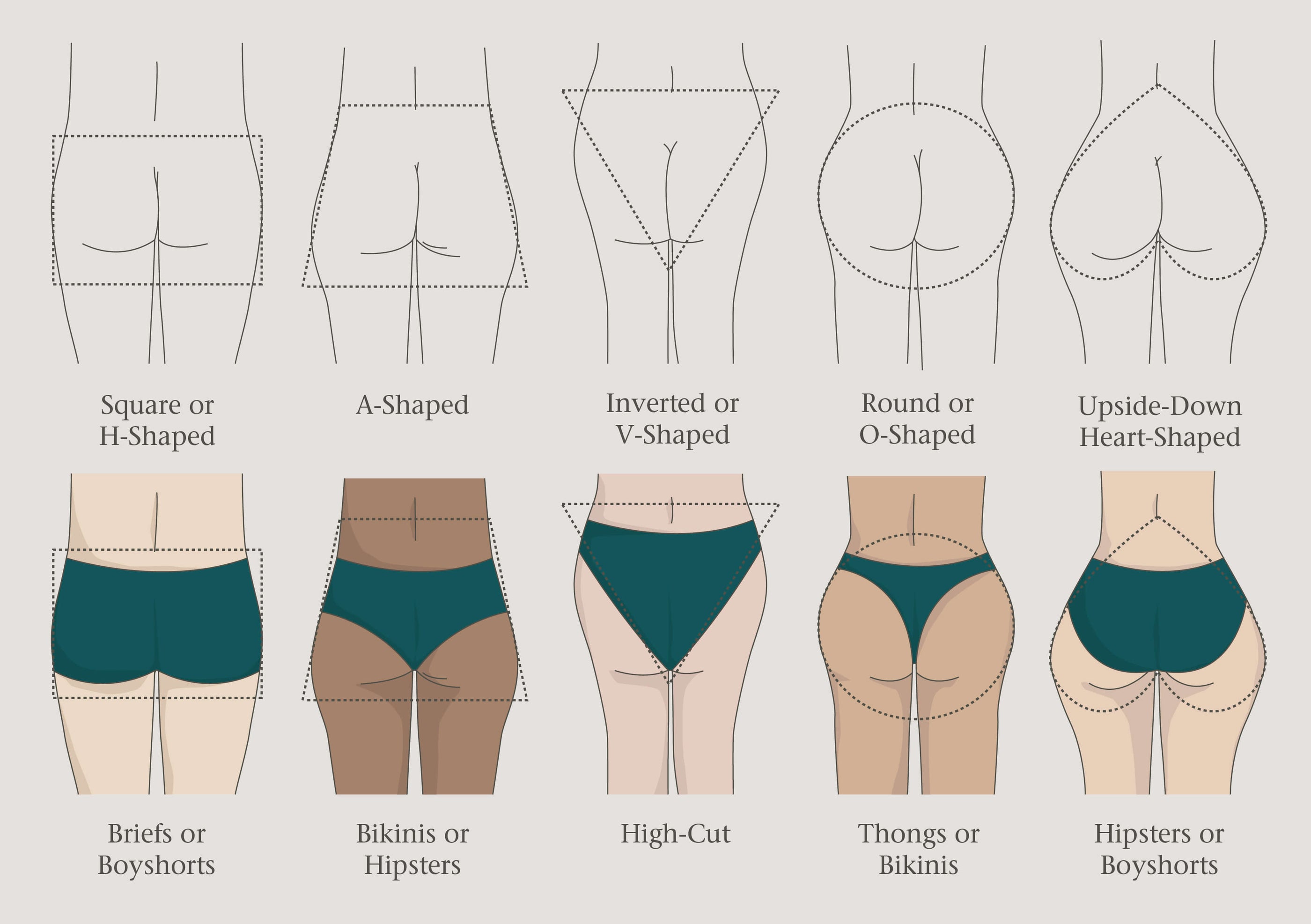 Women's different type of panties with their names / women's underwear  guide / Panties name. 